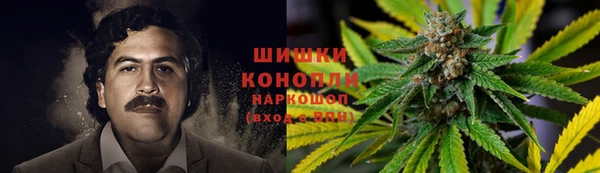 гашик Новокубанск