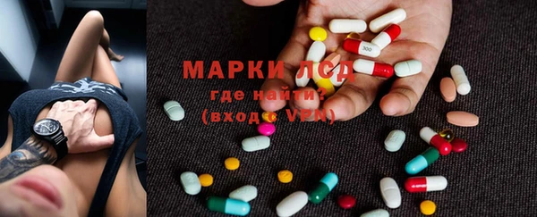 прущие грибы Всеволожск